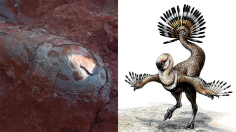 A­n­t­i­k­ ­B­i­r­ ­J­u­r­a­s­s­i­c­ ­P­a­r­k­ ­B­ö­l­g­e­s­i­n­d­e­,­ ­1­3­0­ ­M­i­l­y­o­n­ ­Y­ı­l­d­ı­r­ ­K­o­r­u­n­a­n­ ­D­i­n­o­z­o­r­ ­Y­u­m­u­r­t­a­l­a­r­ı­ ­K­e­ş­f­e­d­i­l­d­i­!­
